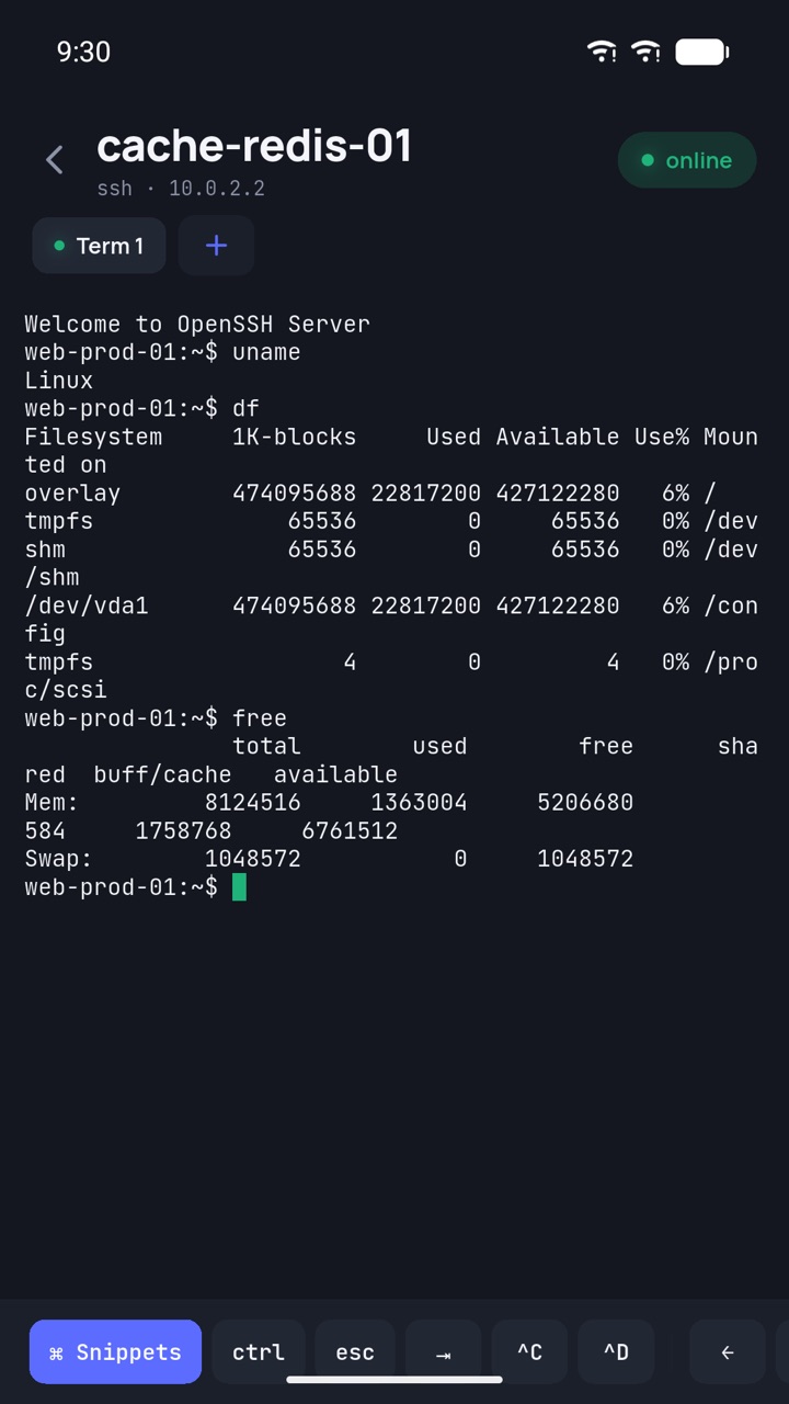 SSH-терминал